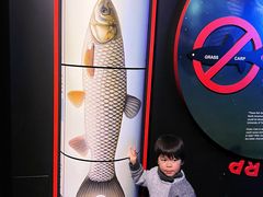 -瑞普利水族馆