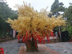 -山叶口景区