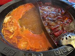 -重庆川渝肥妹火锅