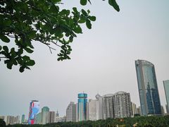 -万绿园
