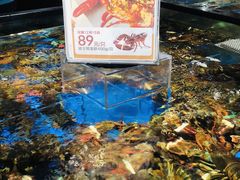 水产区-盒马鲜生(馥邦国际店)