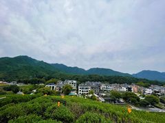 -龙坞茶村