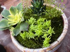 -三圣花乡旅游区