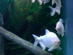 -常州海昌海洋探索馆