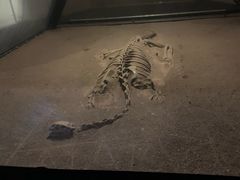 -世界恐龙谷景区