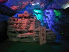-贝壳梦幻世界