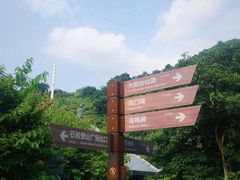 -阳台山森林公园