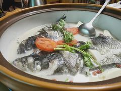 千岛湖浓汤鱼头-全乐鱼馆·淳牌有机鱼直营店