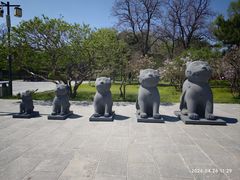 -沈阳市东陵公园