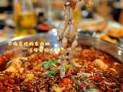-味之绝热血美蛙鱼火锅(中坝店)