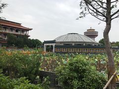 -高旻寺