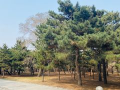 -北陵公园