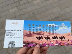 -银肯塔拉沙漠生态旅游景区