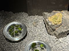 -深圳珠宝博物馆