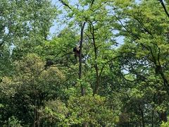 -中国大熊猫保护研究中心雅安碧峰峡基地