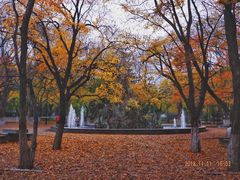 -山东大学(趵突泉校区)
