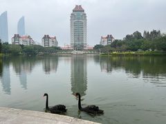 -厦门大学(思明校区)