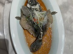 -蘭心·臻品(瑞虹太阳宫店)