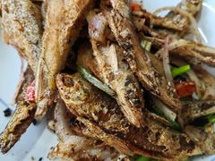 -芦茨金富饭庄·25年老字号·专做稻草鸡