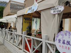 -嘉定紫藤园