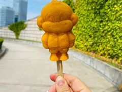 -陕西自然博物馆