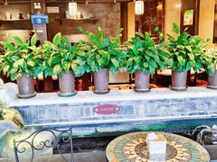 景观位-红鼎坊·老成都火锅(新南门店)