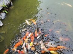-珠海圆明新园