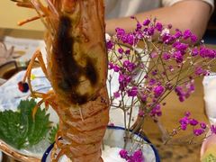 -和创柚子·会席日本料理(新区淮海街店)