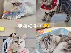 -怪兽屋·羊驼·猫咖·狗咖(俊华广场店)