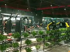 -梧桐阳光国际游泳健身会所(亚运村店)