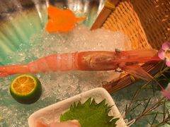 -水之惠鲜鱼料理(王府大街店)