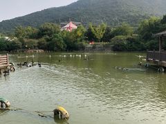 -无锡动物园·太湖欢乐园