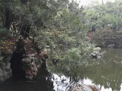 -叶家花园
