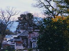 -塔川景区