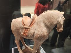 -隋唐大运河文化博物馆