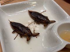 -了能菜·传统特色粤菜·虫宴