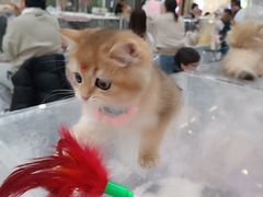 -万达广场(北京槐房店)