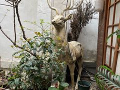 -边渡咖啡烘焙店(昙华林店)