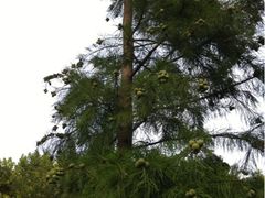 iphone_upload_pic-上海怡沁园度假酒店