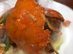 -姜君·千岛湖鱼头馆(浦东大道店)