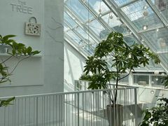 -大树餐厅(红旗街万达店)