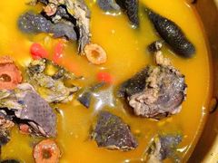 -Darling Queen·Mini·Live·House