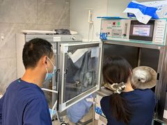 -北京派仕佳德动物医院·超导核磁·CT·神经科·骨科·内外科·急重症管理中心