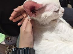 -爪爪喵星球·猫舍(卓悦中心店)