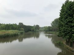 -溱湖国家湿地公园