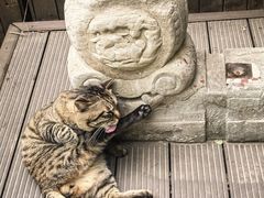 -正阳书局(西四南大街店)