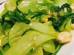 -巫记鸡饭店