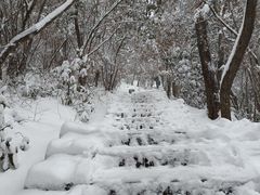 -紫金山山顶公园