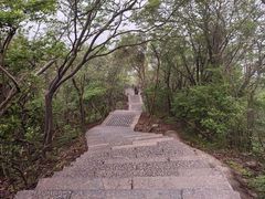 -紫金山山顶公园