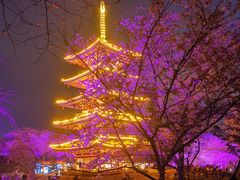 -东湖磨山景区樱花园-停车场